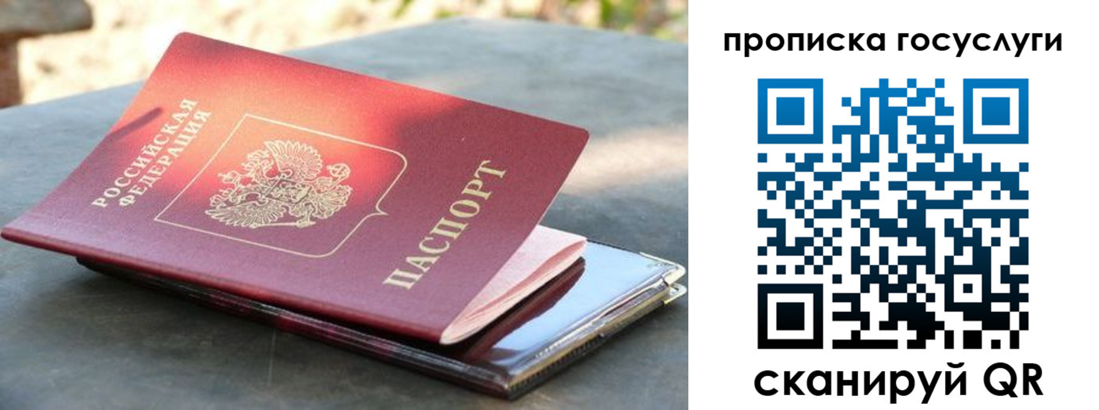 миграционный учет в Выборге